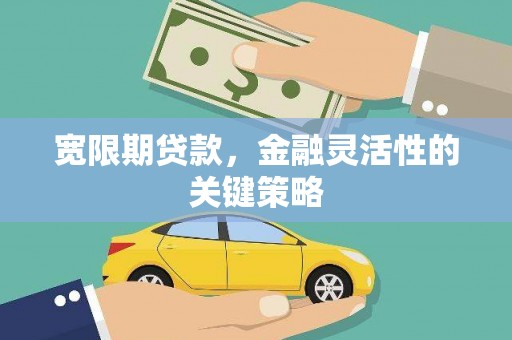 阳泉宽限期贷款，金融灵活性的关键策略