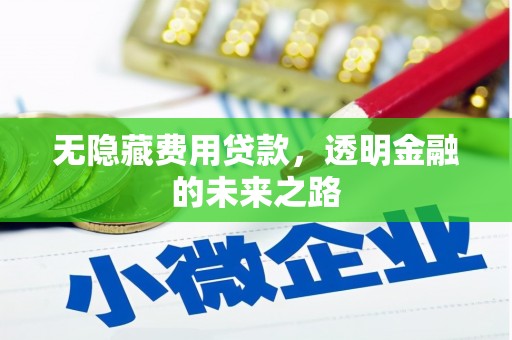 阳泉无隐藏费用贷款，透明金融的未来之路