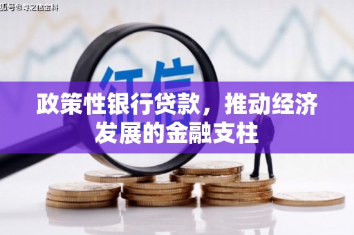 阳泉政策性银行贷款，推动经济发展的金融支柱