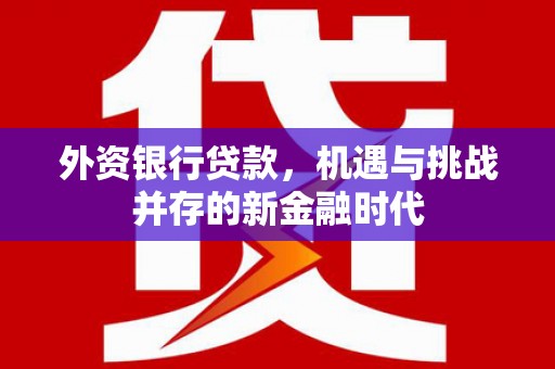 阳泉外资银行贷款，机遇与挑战并存的新金融时代