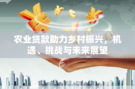 阳泉农业贷款助力乡村振兴，机遇、挑战与未来展望