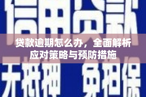 阳泉贷款逾期怎么办，全面解析应对策略与预防措施