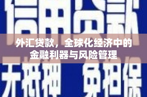 阳泉外汇贷款，全球化经济中的金融利器与风险管理