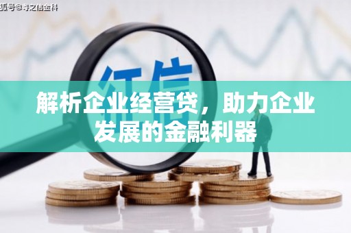 阳泉解析企业经营贷，助力企业发展的金融利器