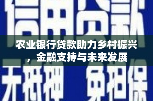 阳泉农业银行贷款助力乡村振兴，金融支持与未来发展