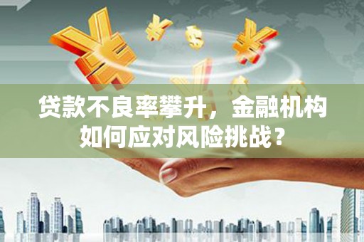 阳泉贷款不良率攀升，金融机构如何应对风险挑战？