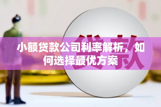 阳泉小额贷款公司利率解析，如何选择最优方案
