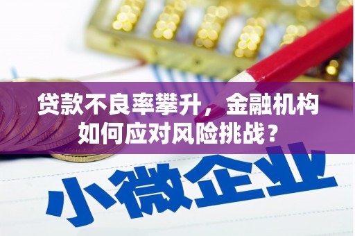 阳泉贷款不良率攀升，金融机构如何应对风险挑战？