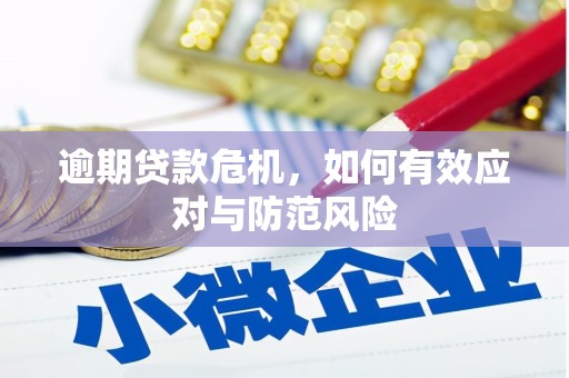 阳泉逾期贷款危机，如何有效应对与防范风险