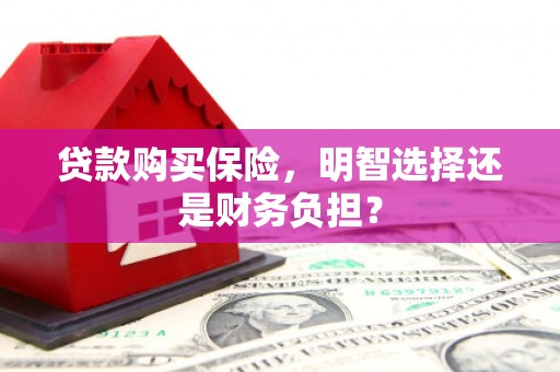 阳泉贷款购买保险，明智选择还是财务负担？
