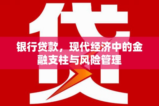 阳泉银行贷款，现代经济中的金融支柱与风险管理