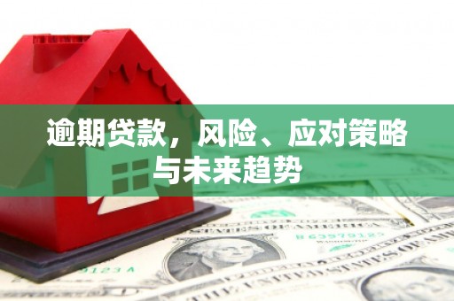 阳泉逾期贷款，风险、应对策略与未来趋势