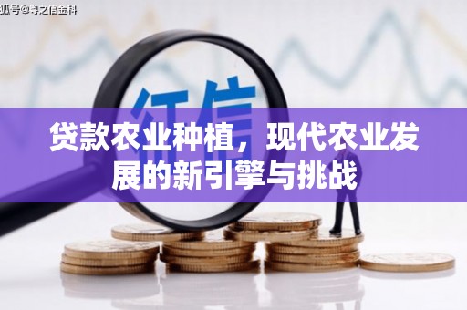 阳泉贷款农业种植，现代农业发展的新引擎与挑战