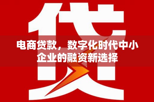 阳泉电商贷款，数字化时代中小企业的融资新选择