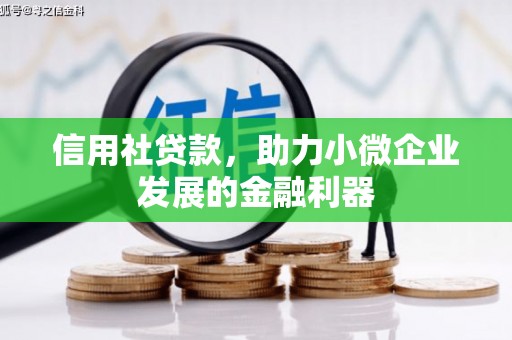 阳泉信用社贷款，助力小微企业发展的金融利器
