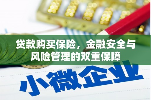 阳泉贷款购买保险，金融安全与风险管理的双重保障
