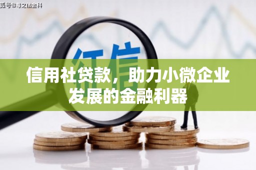 阳泉信用社贷款，助力小微企业发展的金融利器