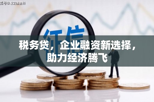 阳泉税务贷，企业融资新选择，助力经济腾飞