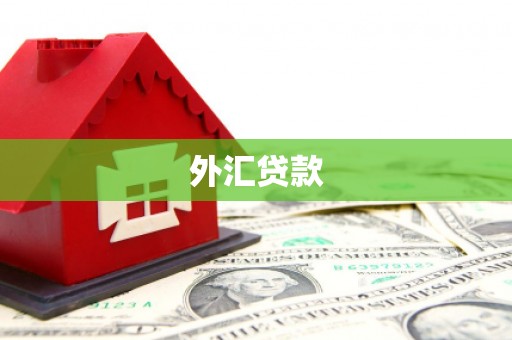 阳泉外汇贷款