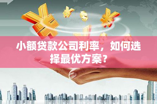 阳泉小额贷款公司利率，如何选择最优方案？