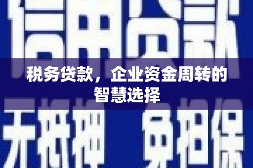 阳泉税务贷款，企业资金周转的智慧选择