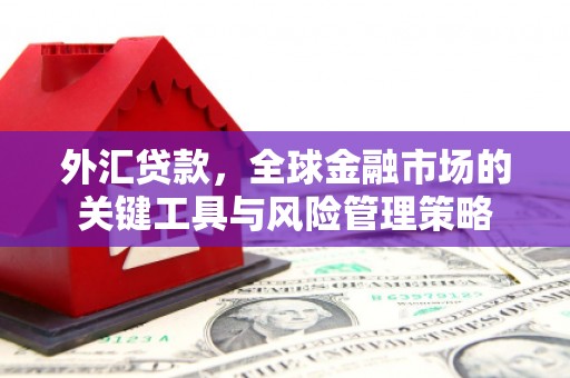 阳泉外汇贷款，全球金融市场的关键工具与风险管理策略