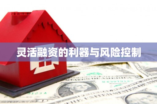 阳泉灵活融资的利器与风险控制