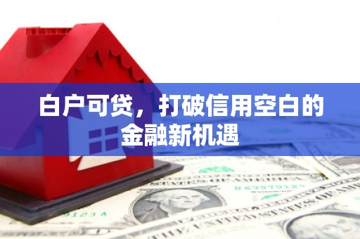 阳泉白户可贷，打破信用空白的金融新机遇