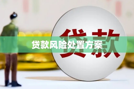 阳泉贷款风险处置方案