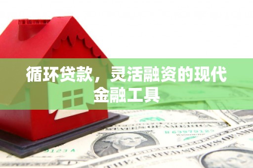 阳泉循环贷款，灵活融资的现代金融工具
