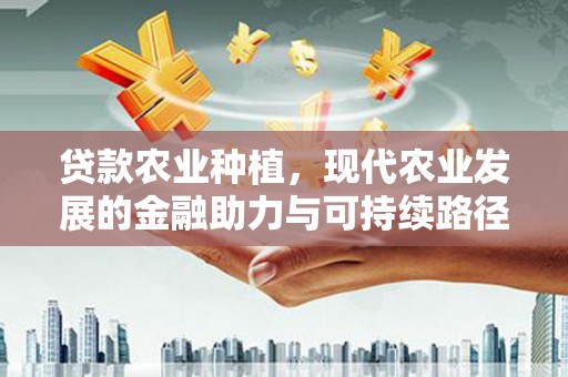 阳泉贷款农业种植，现代农业发展的金融助力与可持续路径