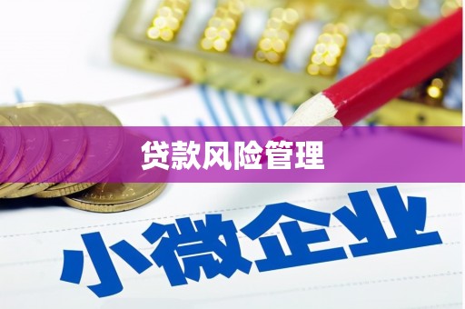 阳泉贷款风险管理
