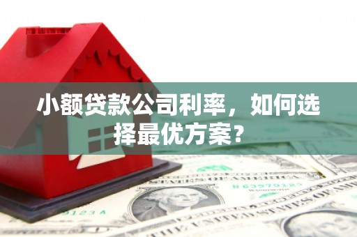 阳泉小额贷款公司利率，如何选择最优方案？