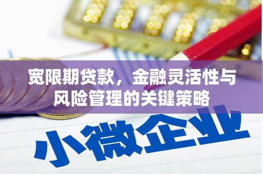 阳泉宽限期贷款，金融灵活性与风险管理的关键策略