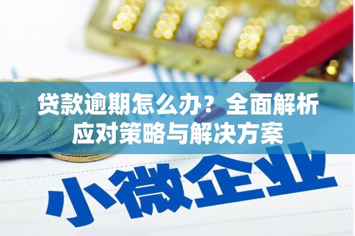 阳泉贷款逾期怎么办？全面解析应对策略与解决方案
