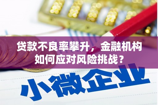 阳泉贷款不良率攀升，金融机构如何应对风险挑战？
