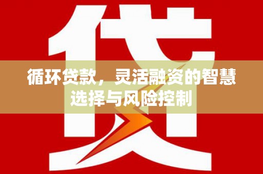 阳泉循环贷款，灵活融资的智慧选择与风险控制