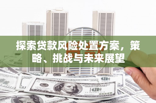 阳泉探索贷款风险处置方案，策略、挑战与未来展望