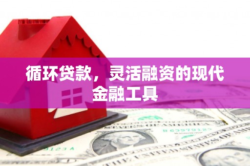 阳泉循环贷款，灵活融资的现代金融工具