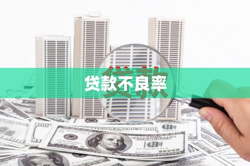 阳泉贷款不良率