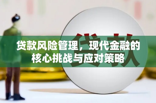 阳泉贷款风险管理，现代金融的核心挑战与应对策略