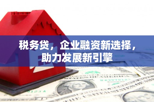 阳泉税务贷，企业融资新选择，助力发展新引擎