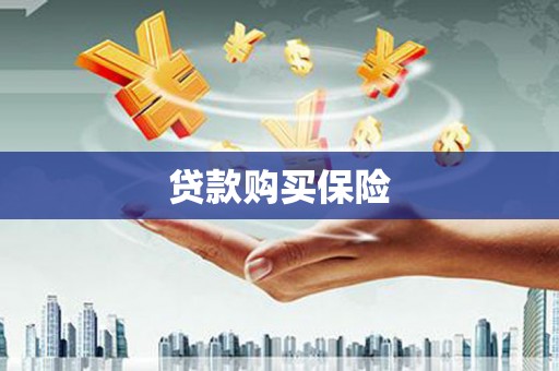 阳泉贷款购买保险