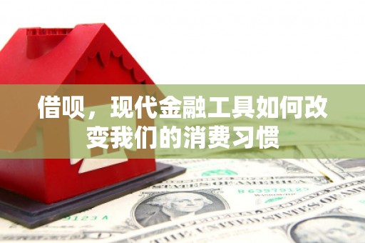 阳泉借呗，现代金融工具如何改变我们的消费习惯