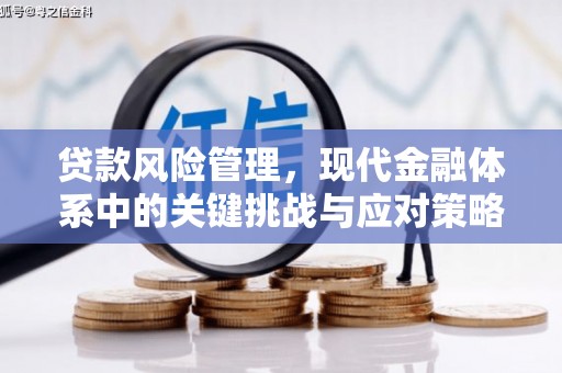 阳泉贷款风险管理，现代金融体系中的关键挑战与应对策略