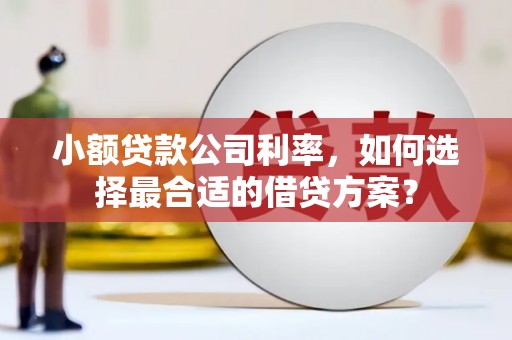 阳泉小额贷款公司利率，如何选择最合适的借贷方案？