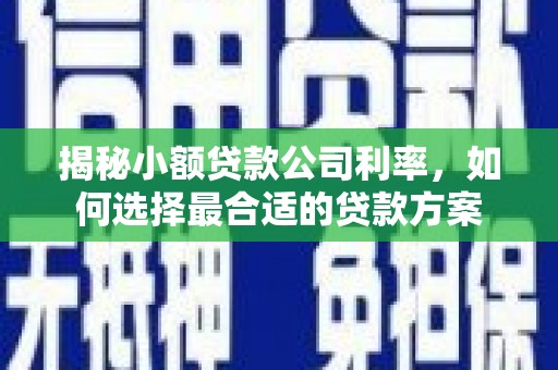 阳泉揭秘小额贷款公司利率，如何选择最合适的贷款方案