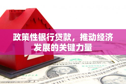阳泉政策性银行贷款，推动经济发展的关键力量