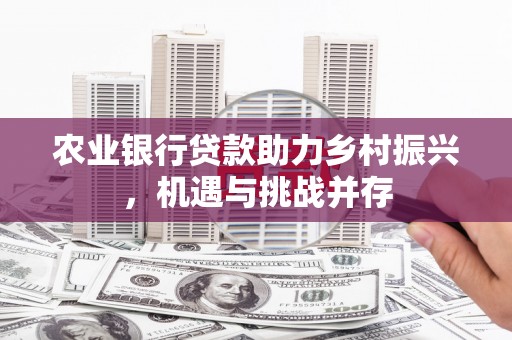 阳泉农业银行贷款助力乡村振兴，机遇与挑战并存