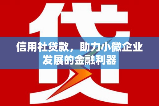 阳泉信用社贷款，助力小微企业发展的金融利器